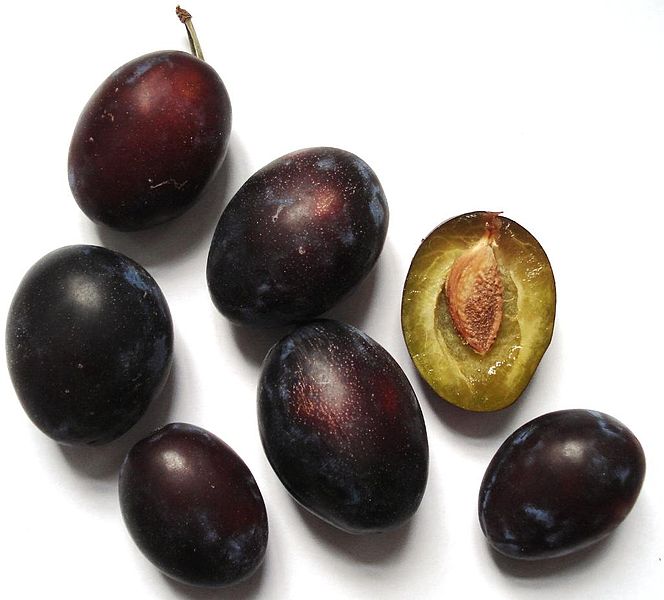 italian plums