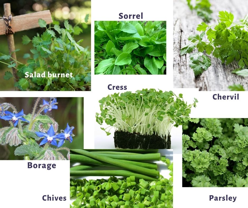 herbs for the green sauce